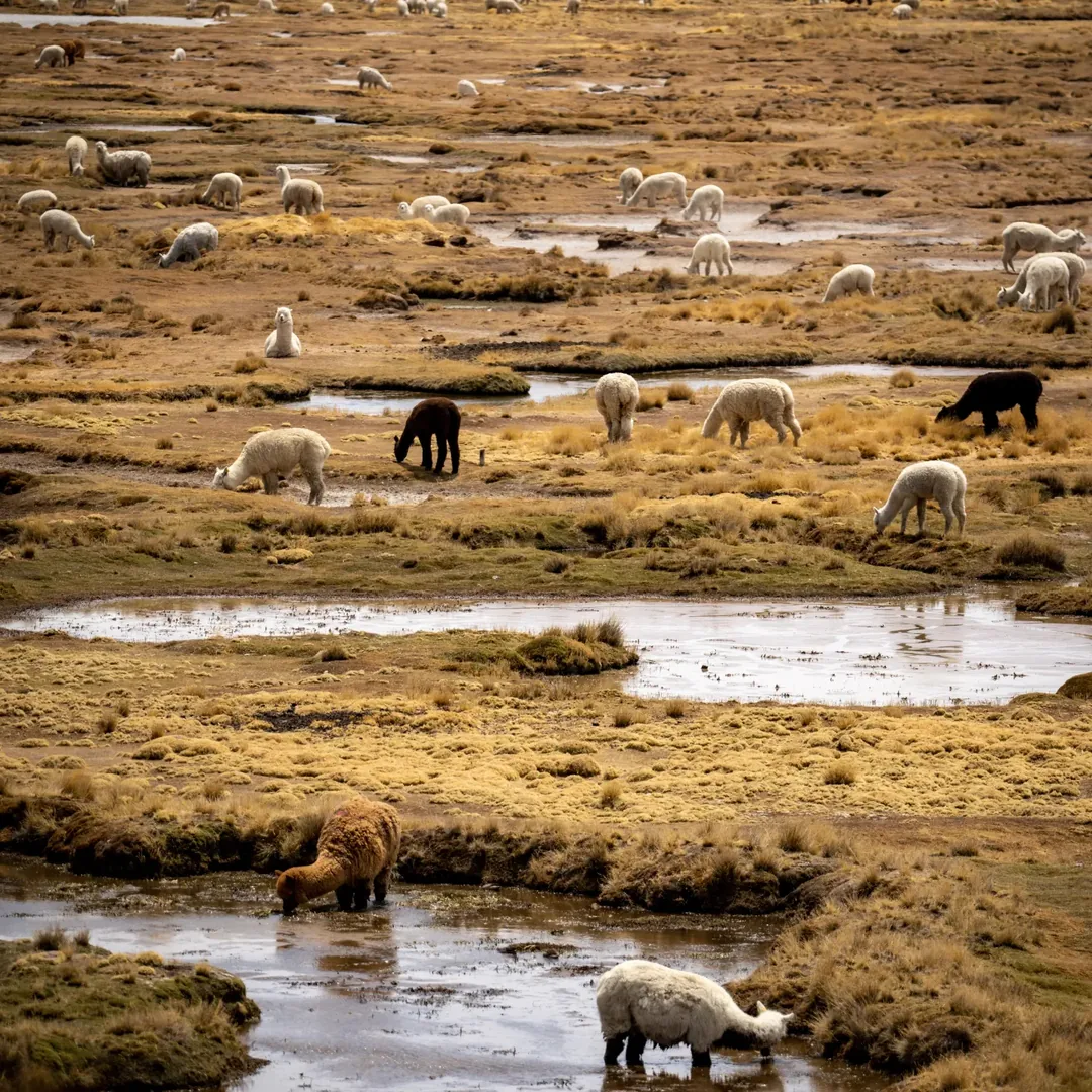 Colca Valley